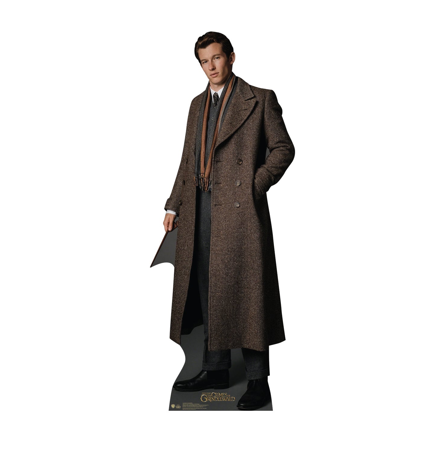 Theseus Scamander Cardboard Cutout