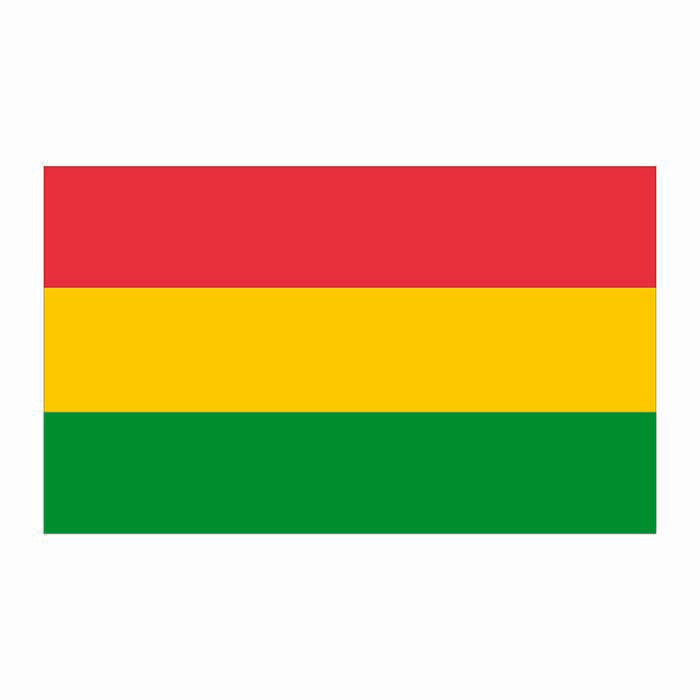 Bolivia Flag Cardboard Cutout