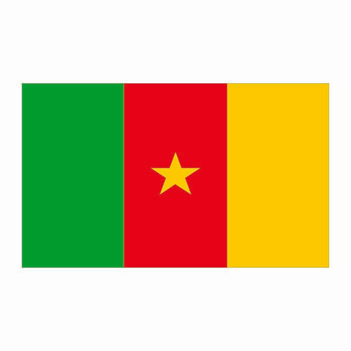 Cameroon Flag Cardboard Cutout