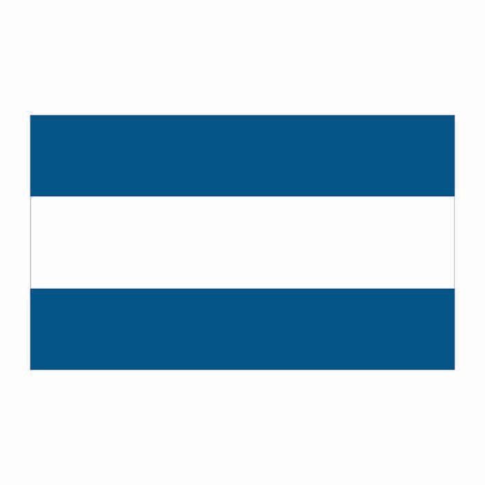 El Salvador Flag Cardboard Cutout