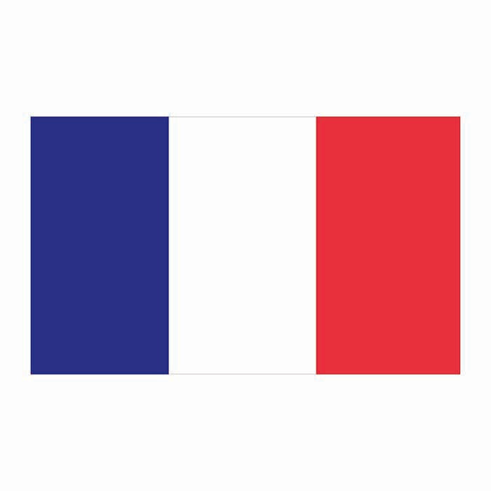 France Flag Cardboard Cutout