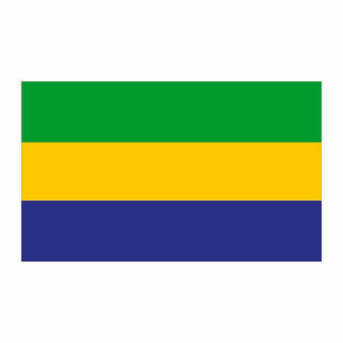 Gabon Flag Cardboard Cutout