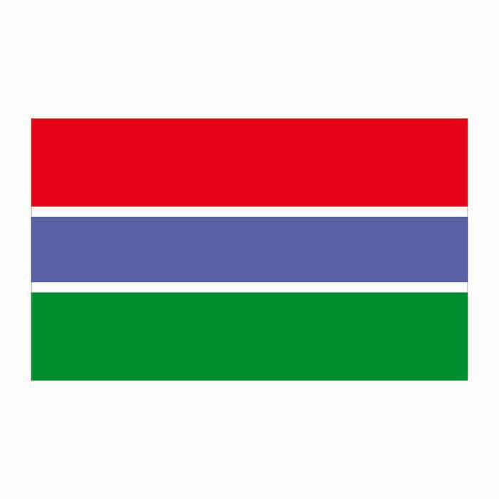 Gambia Flag Cardboard Cutout