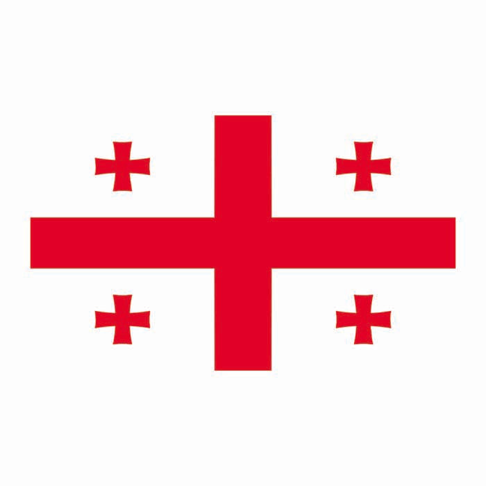 Georgia Flag Cardboard Cutout