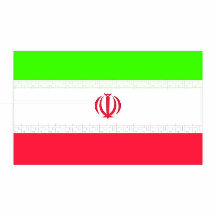 Iran Flag Cardboard Cutout