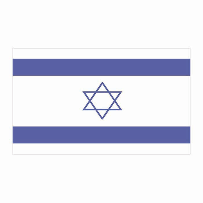Israel Flag Cardboard Cutout
