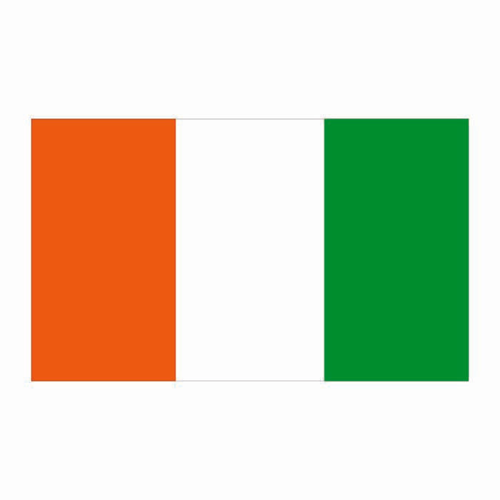 Ivory Coast Flag Cardboard Cutout