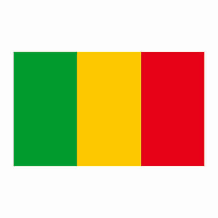 Mali Flag Cardboard Cutout