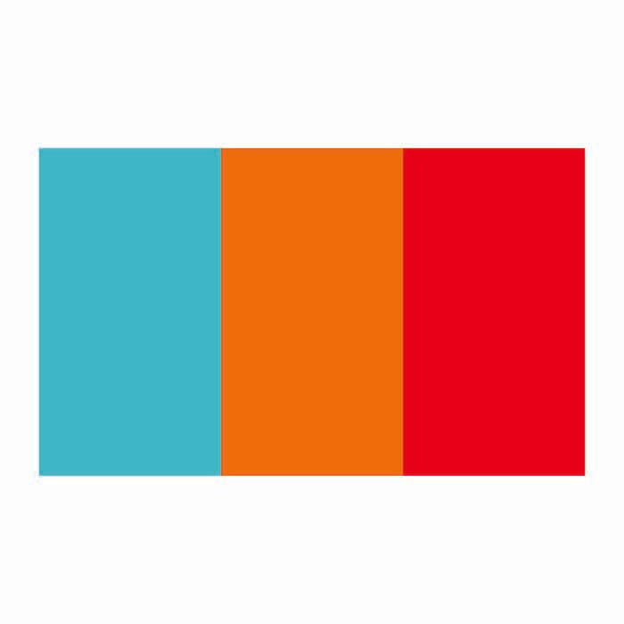 Moldavis Flag Cardboard Cutout