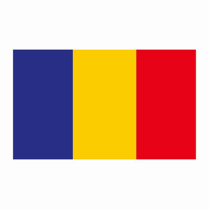 Romania Flag Cardboard Cutout