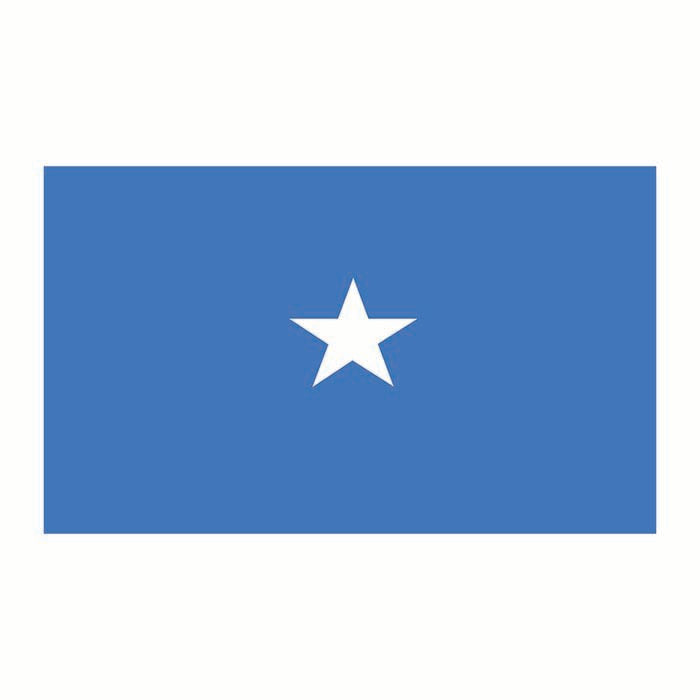 Somalia Flag Cardboard Cutout