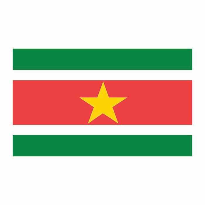 Suriname Flag Cardboard Cutout