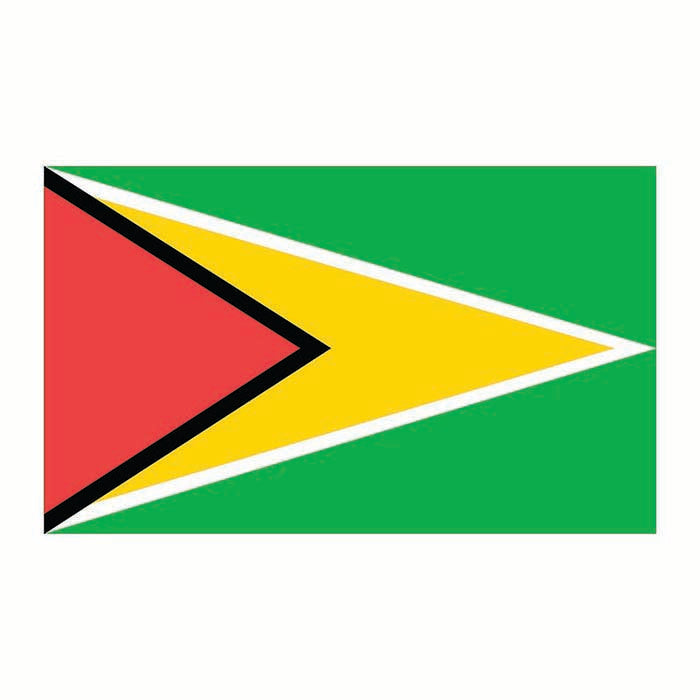 Guyana Flag Cardboard Cutout