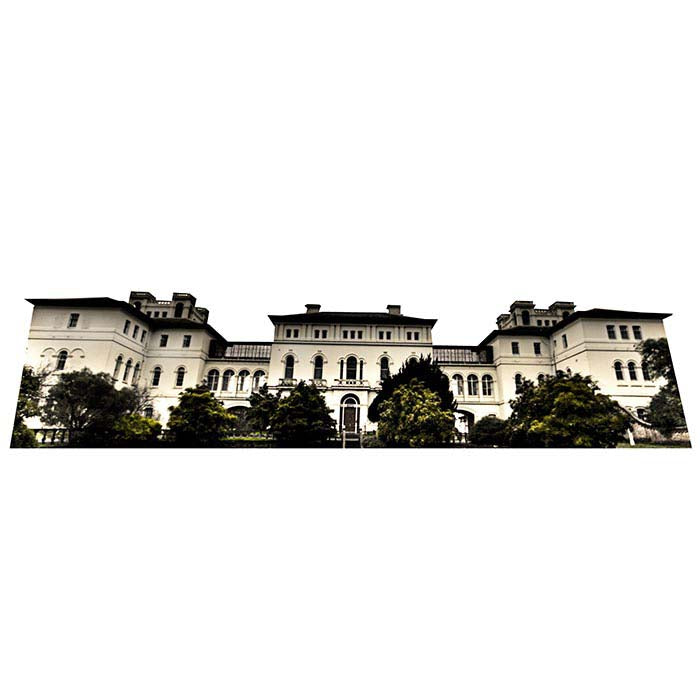 Ararat Lunatic Asylum Cardboard Cutout