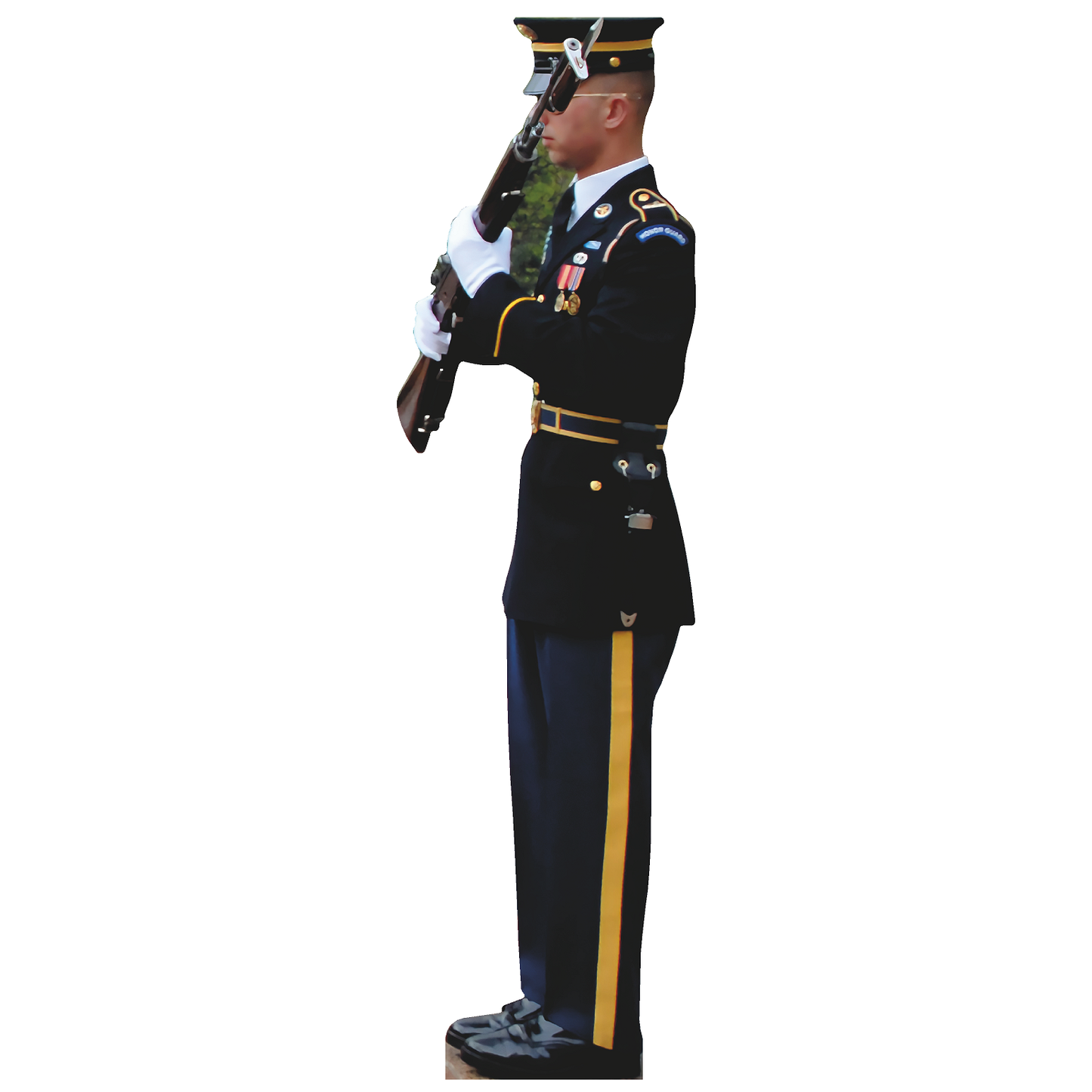 US Army Honor Guard Rifle Tomb Unknown Soldier Cardboard Cutout