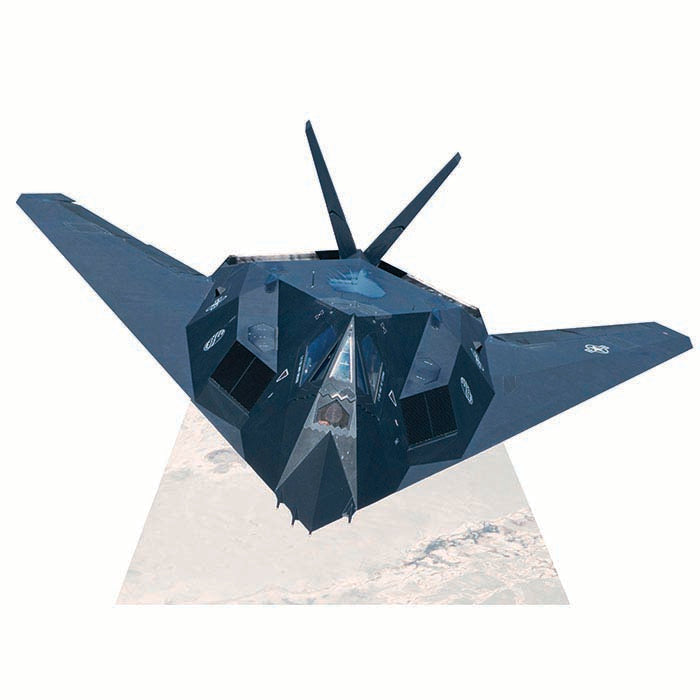 F117 Nighthawk Cardboard Cutout