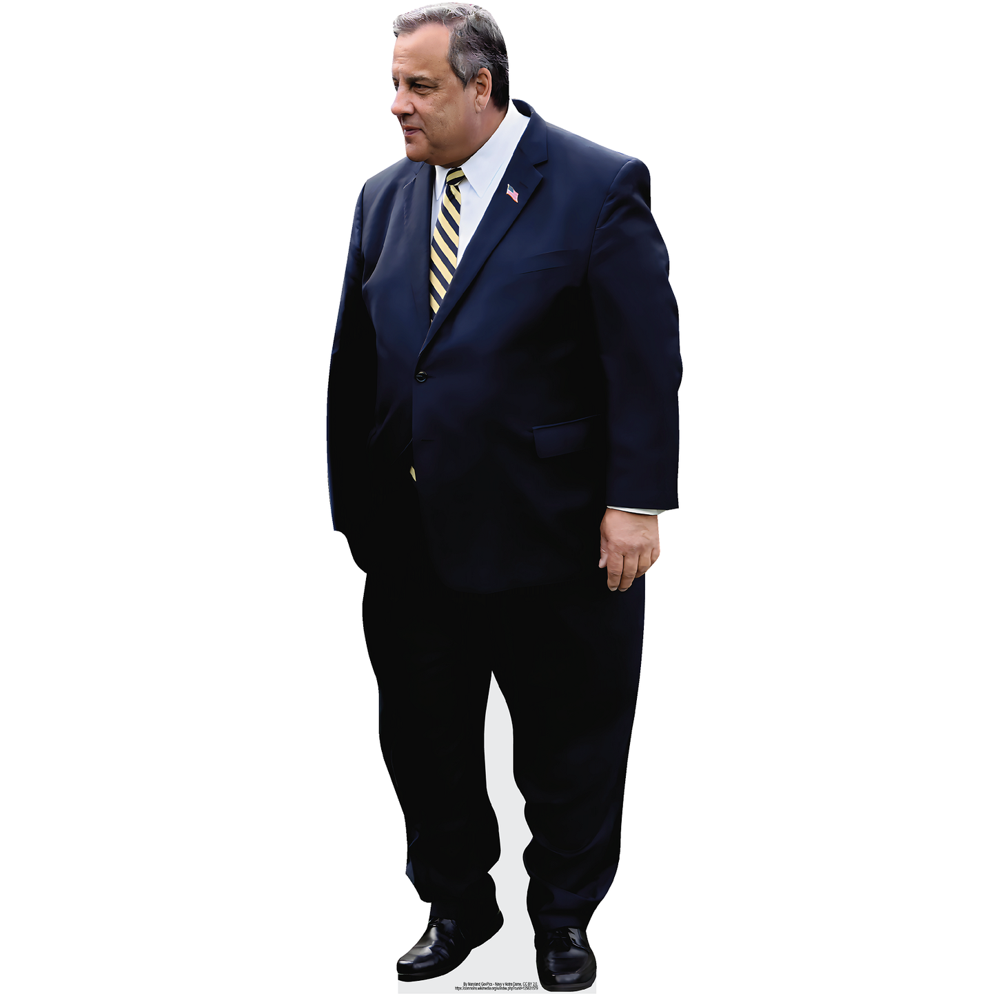 Chris Christie Suit 2024 Cardboard Cutout