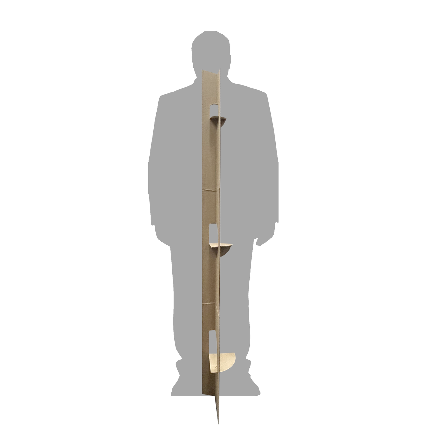 Stephen Miller Homeland Security Advisor Jail Behind Bars Cardboard Cutout