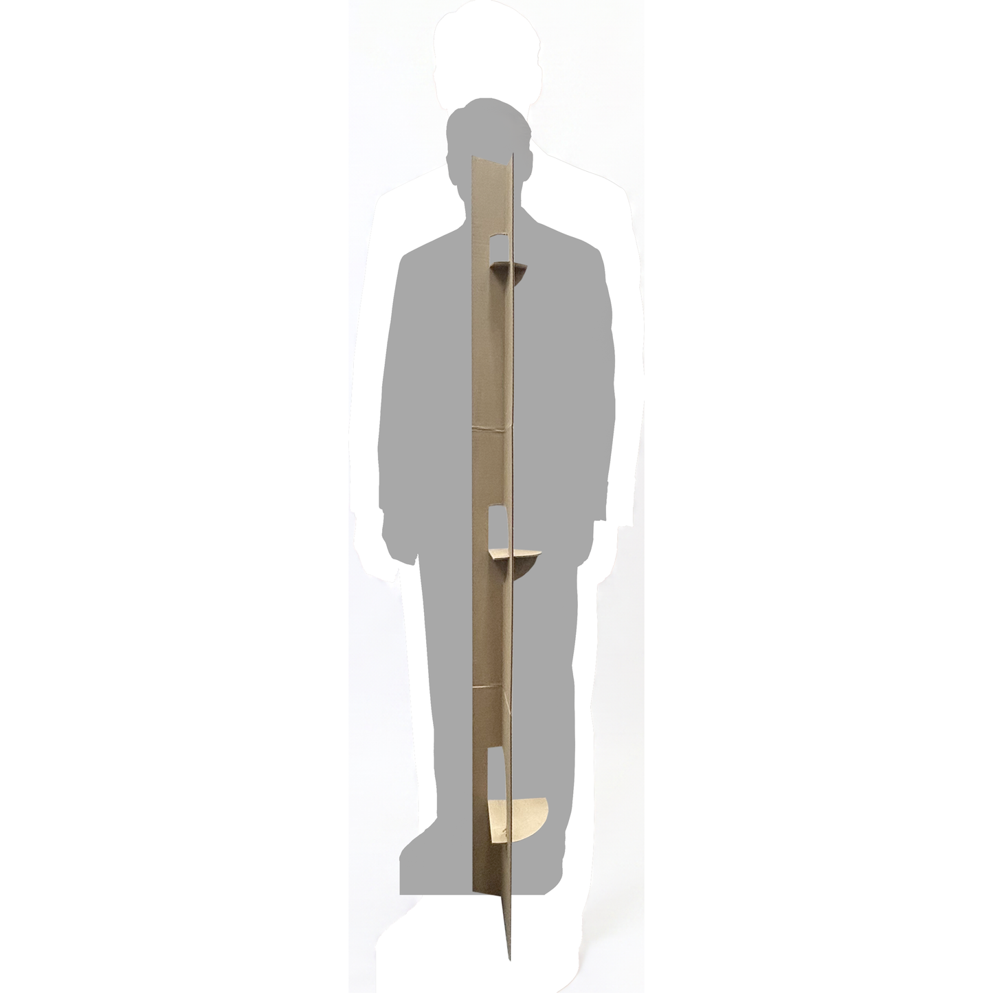 H38319 Tim Burchett Government UAP UFO Disclosure Cardboard Cutout
