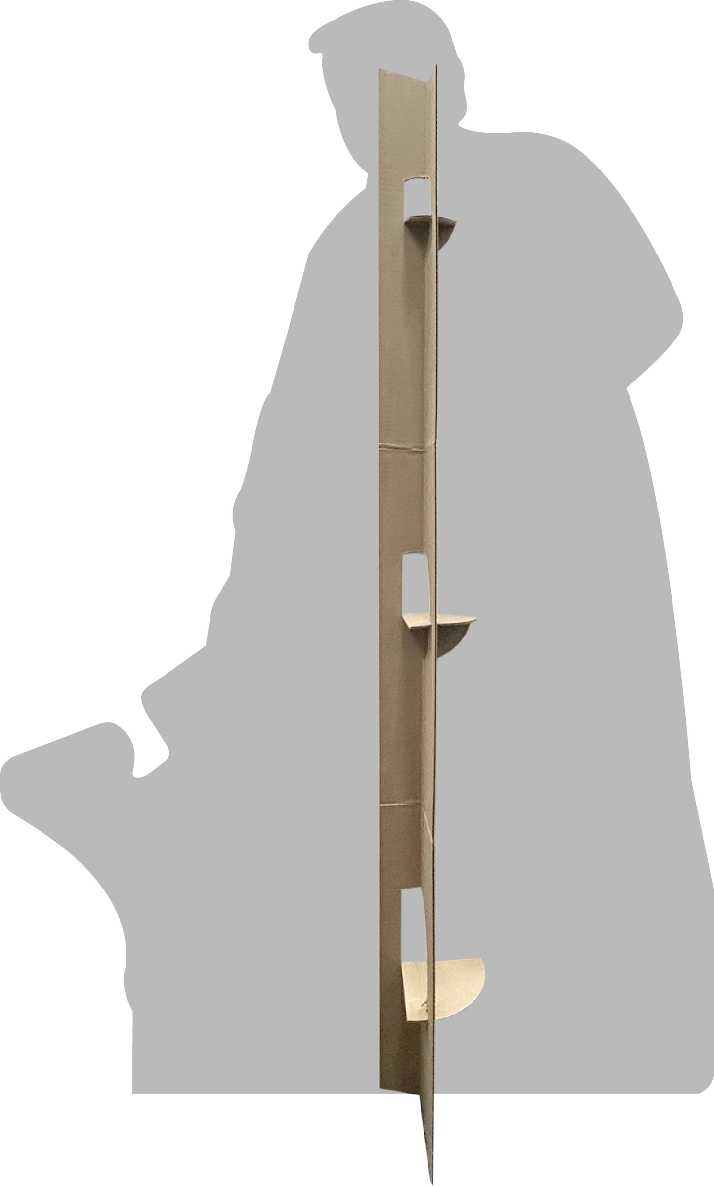 Donald Trump Lincoln Memorial Reflecting Pool Paint Cardboard Cutout Standee Standup