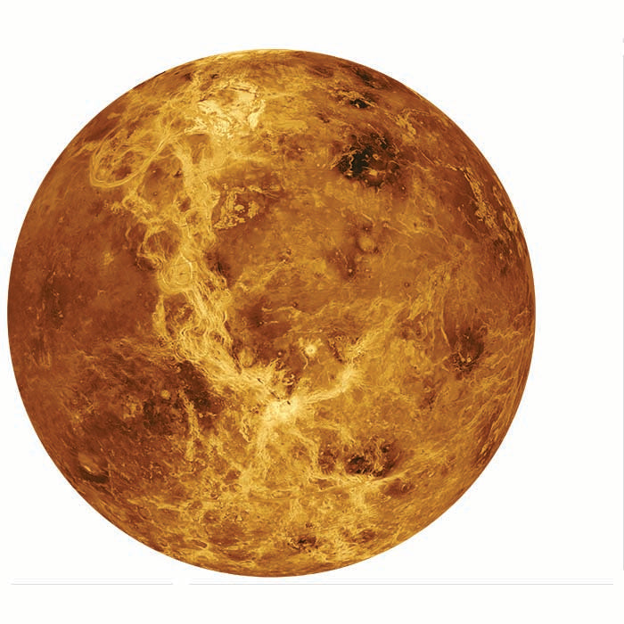 Venus Cardboard Cutout