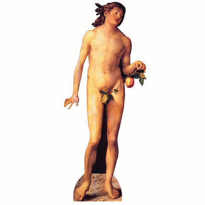 Adam Cardboard Cutout