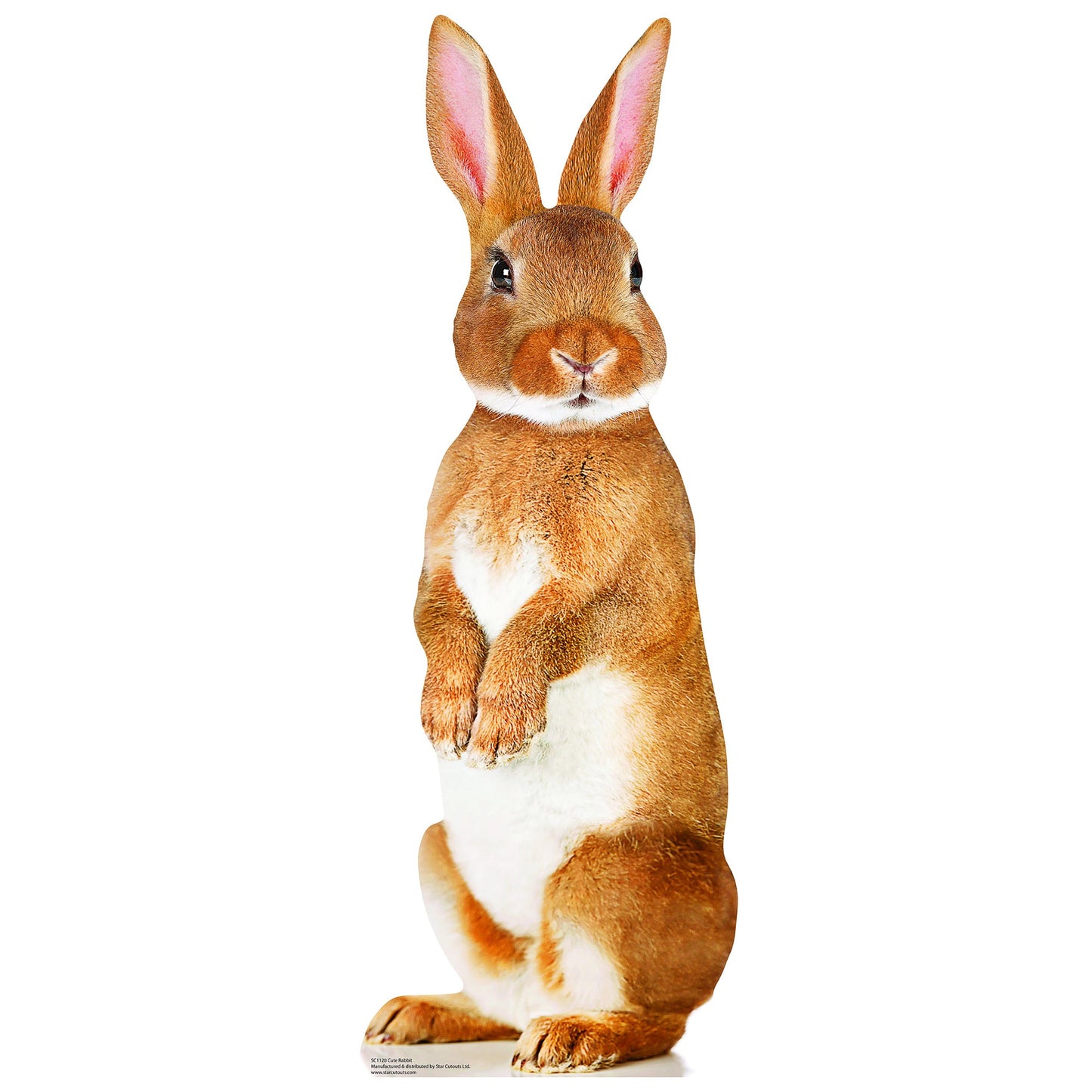 Cute Rabbit Cardboard Cutout
