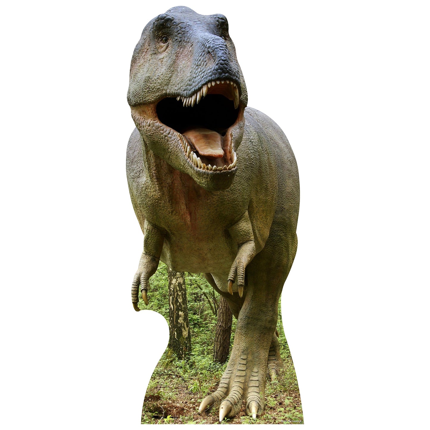 Tyrannosaurus Rex Cardboard Cutout