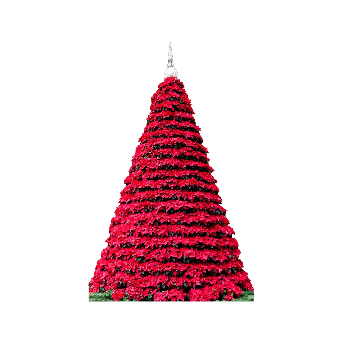 Poinsetta Christmas Tree Cardboard Cutout