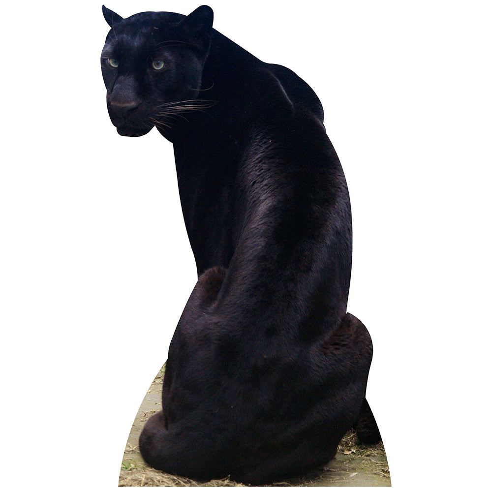 Panther Cardboard Cutout