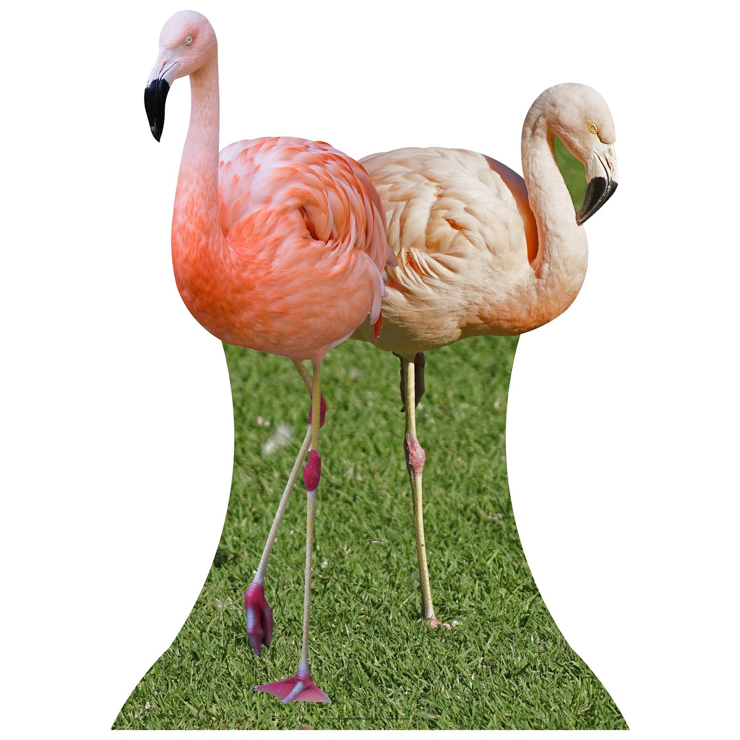 Flamingos Cardboard Cutout