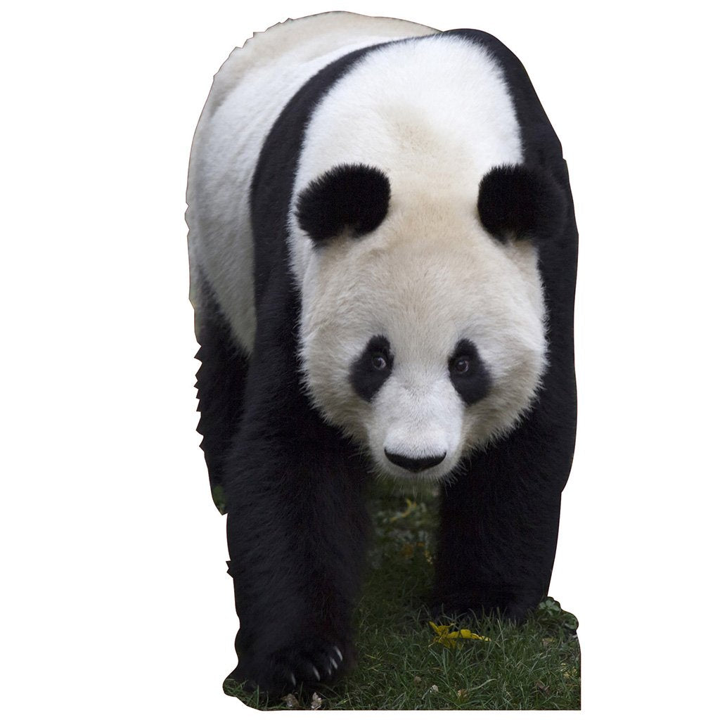 Panda Cardboard Cutout