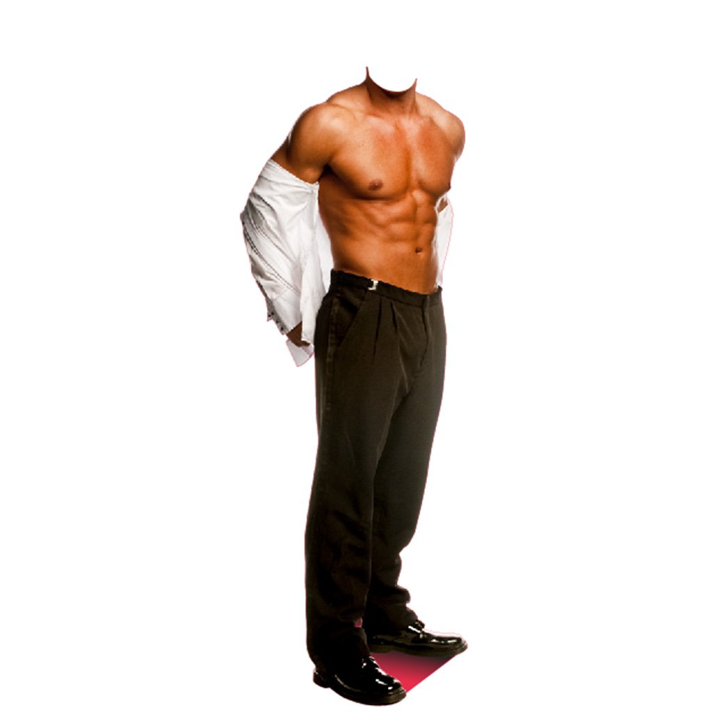 Chippendale Stand In Cardboard Cutout