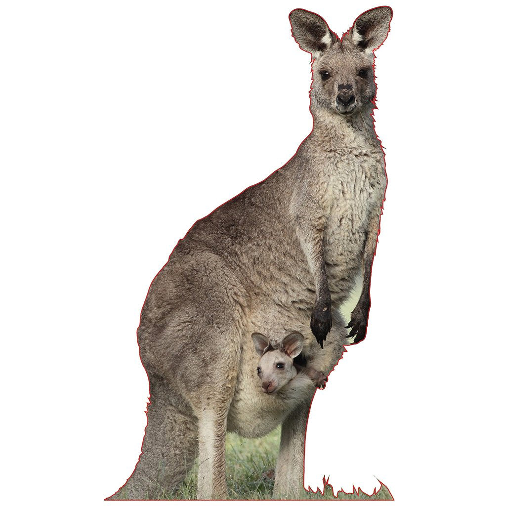 Kangaroo With Joey In Pouch Cardboard Cutout