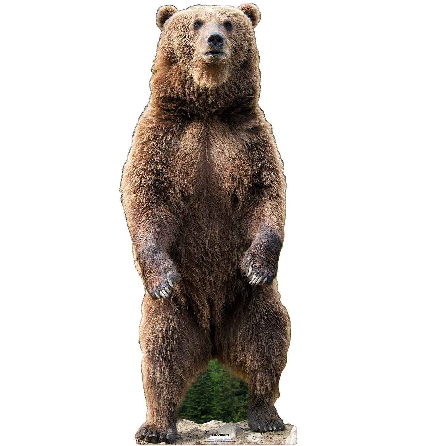 Grizzly Bear Cardboard Cutout