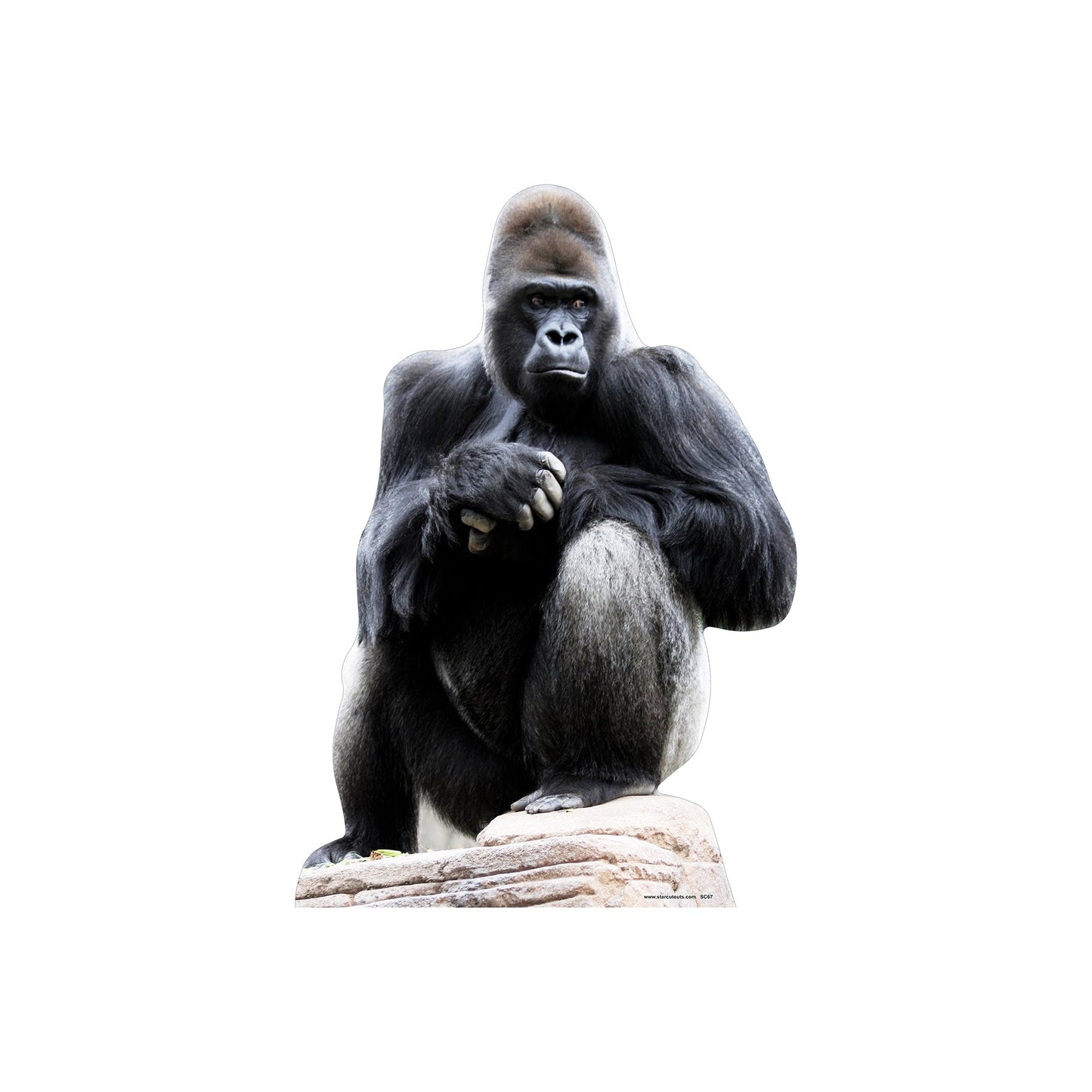 Gorilla Cardboard Cutout