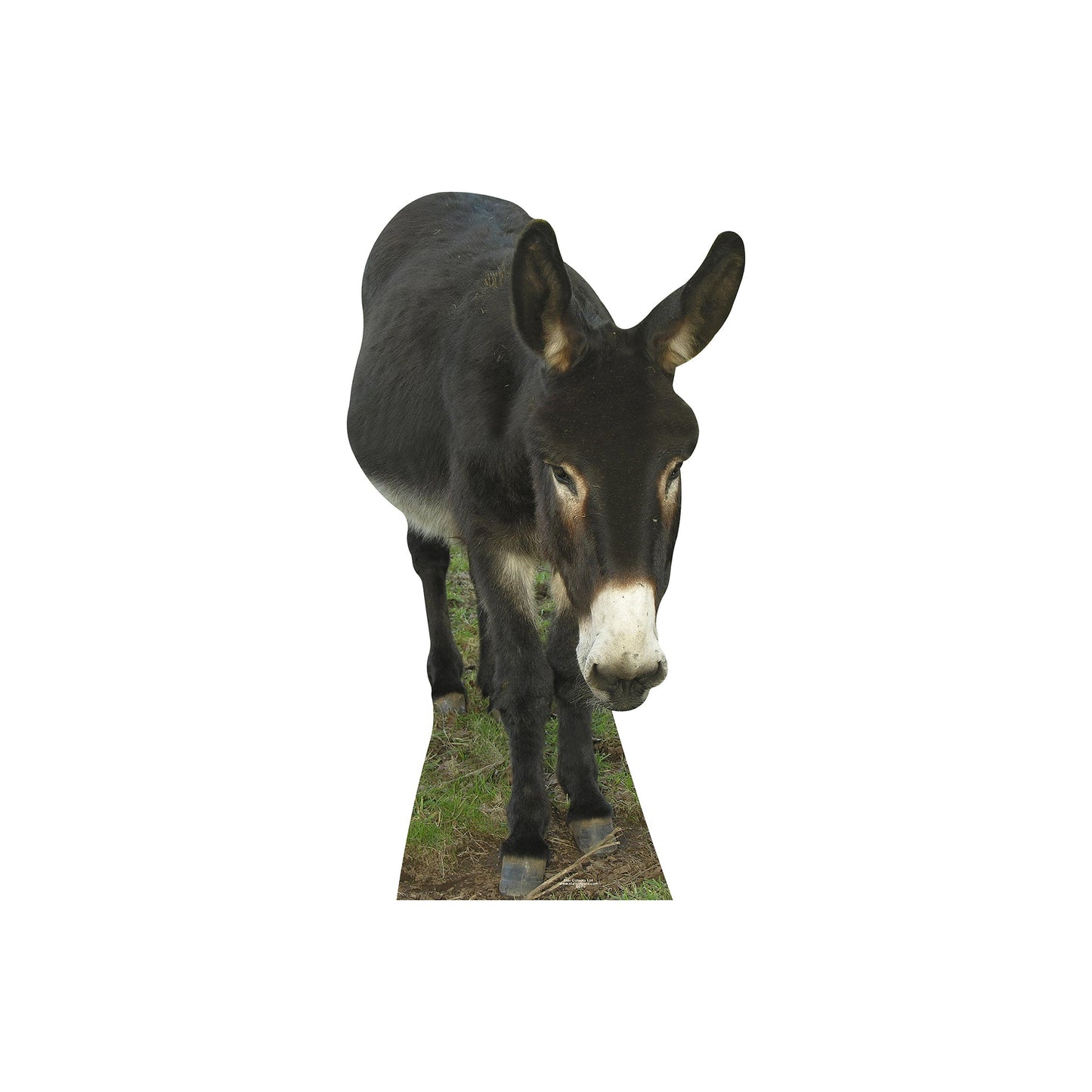 Donkey Cardboard Cutout