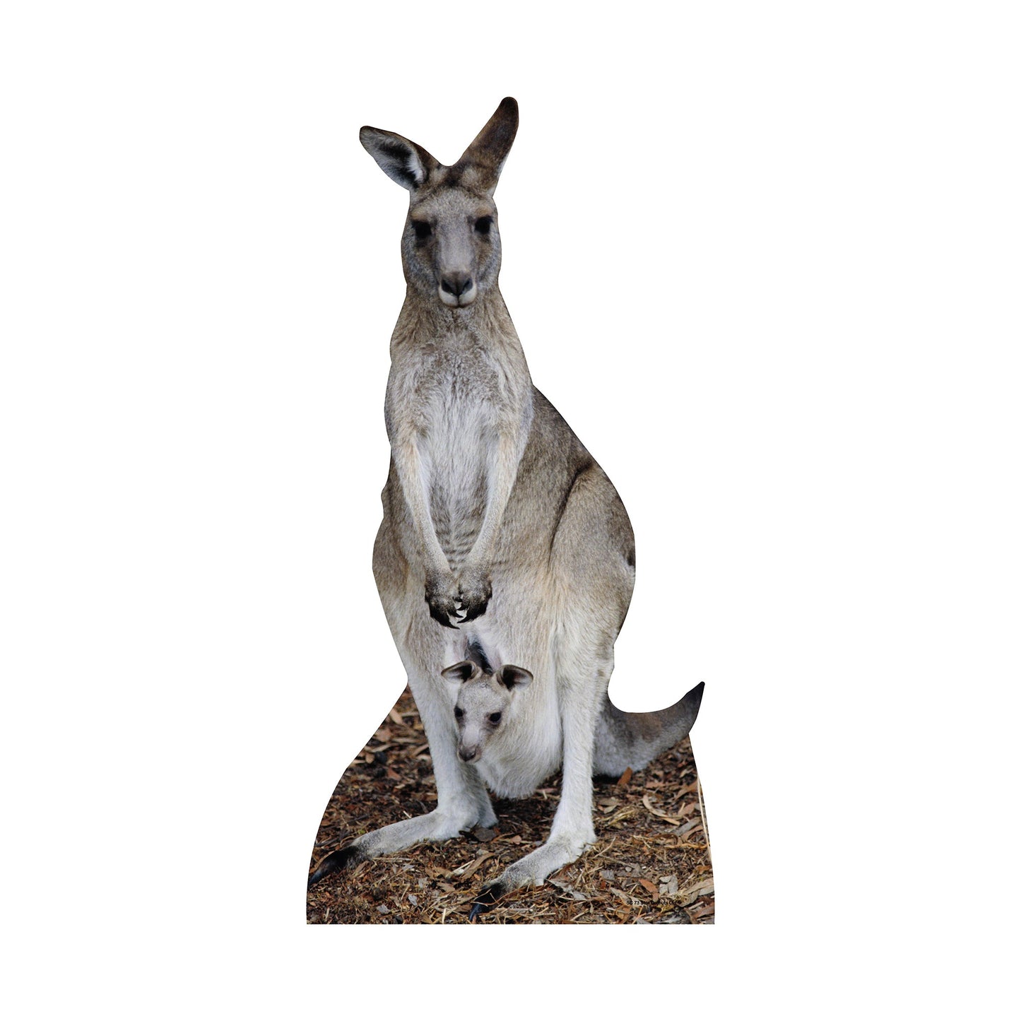Kangaroo Cardboard Cutout