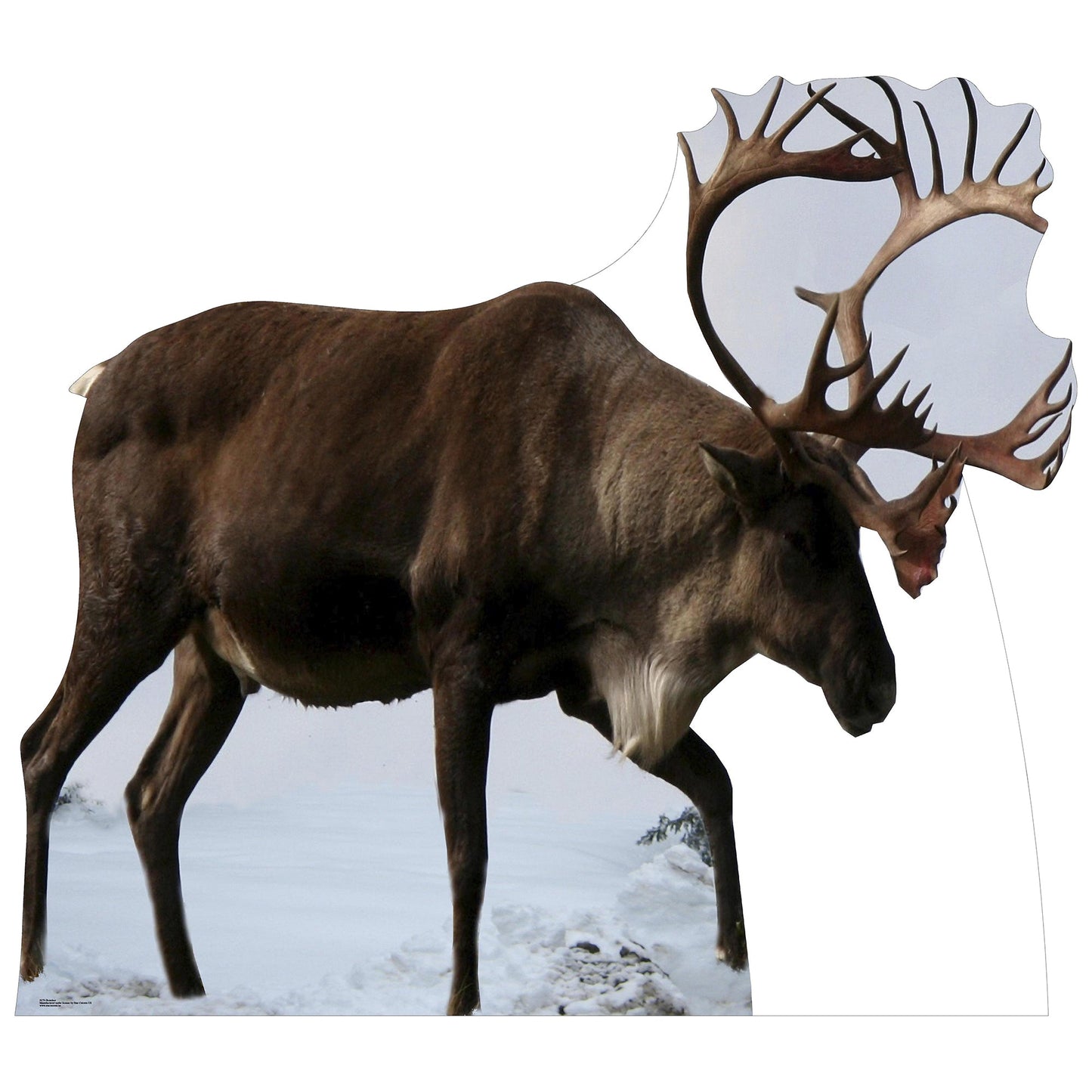Reindeer Cardboard Cutout