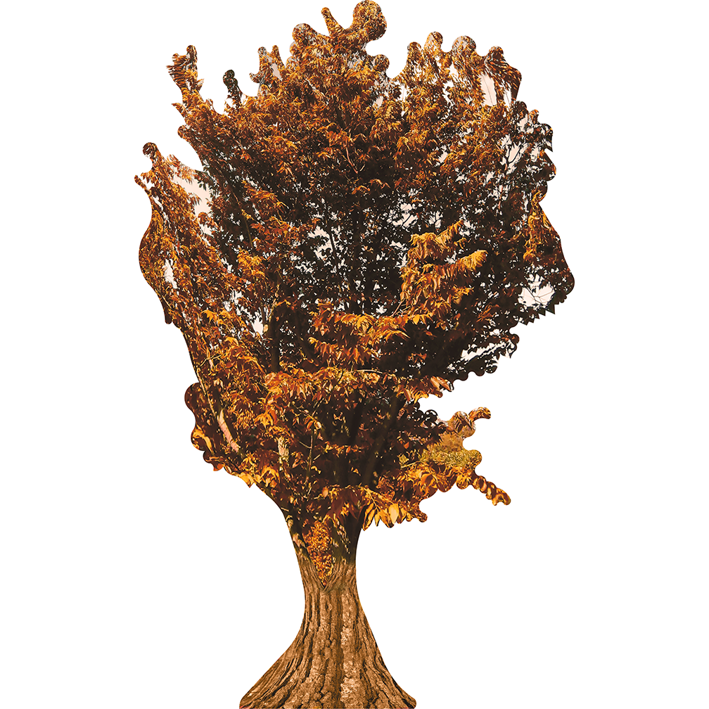 Autumn Tree Cardboard Cutout