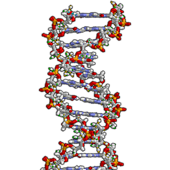 DNA Cardboard Cutout