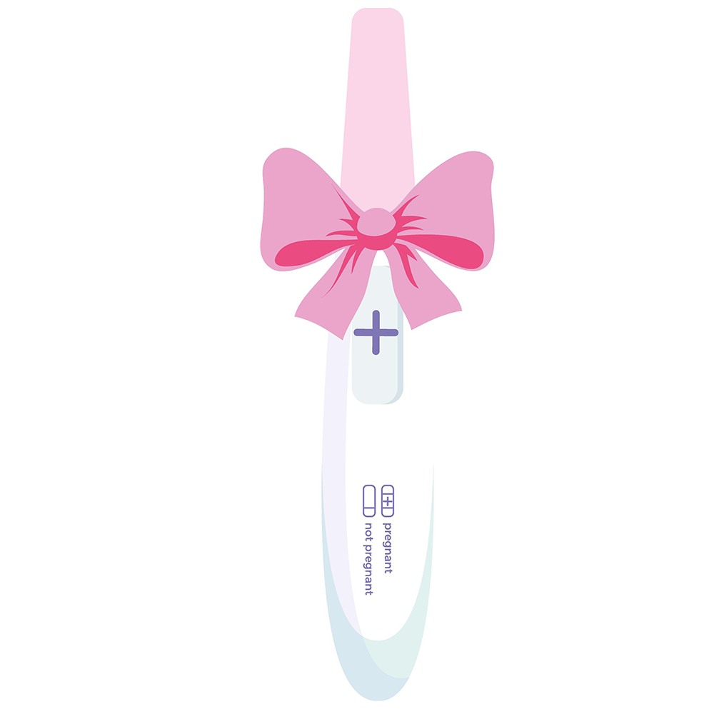 Pregnancy Test It’s a Girl Cardboard Cutout