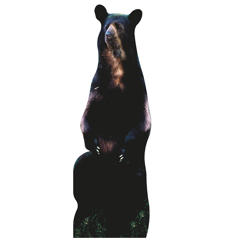 Sitting Bear Cardboard Cutout