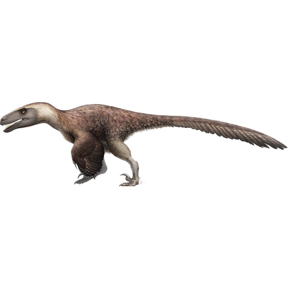 Utahraptor Cardboard Cutout