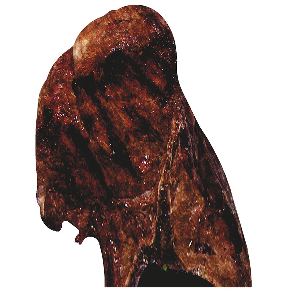 T Bone Steak Cardboard Cutout