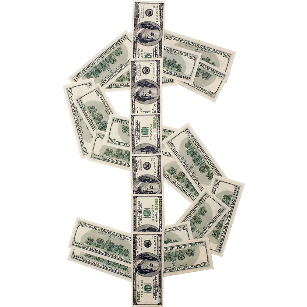 Dollar Sign Cardboard Cutout