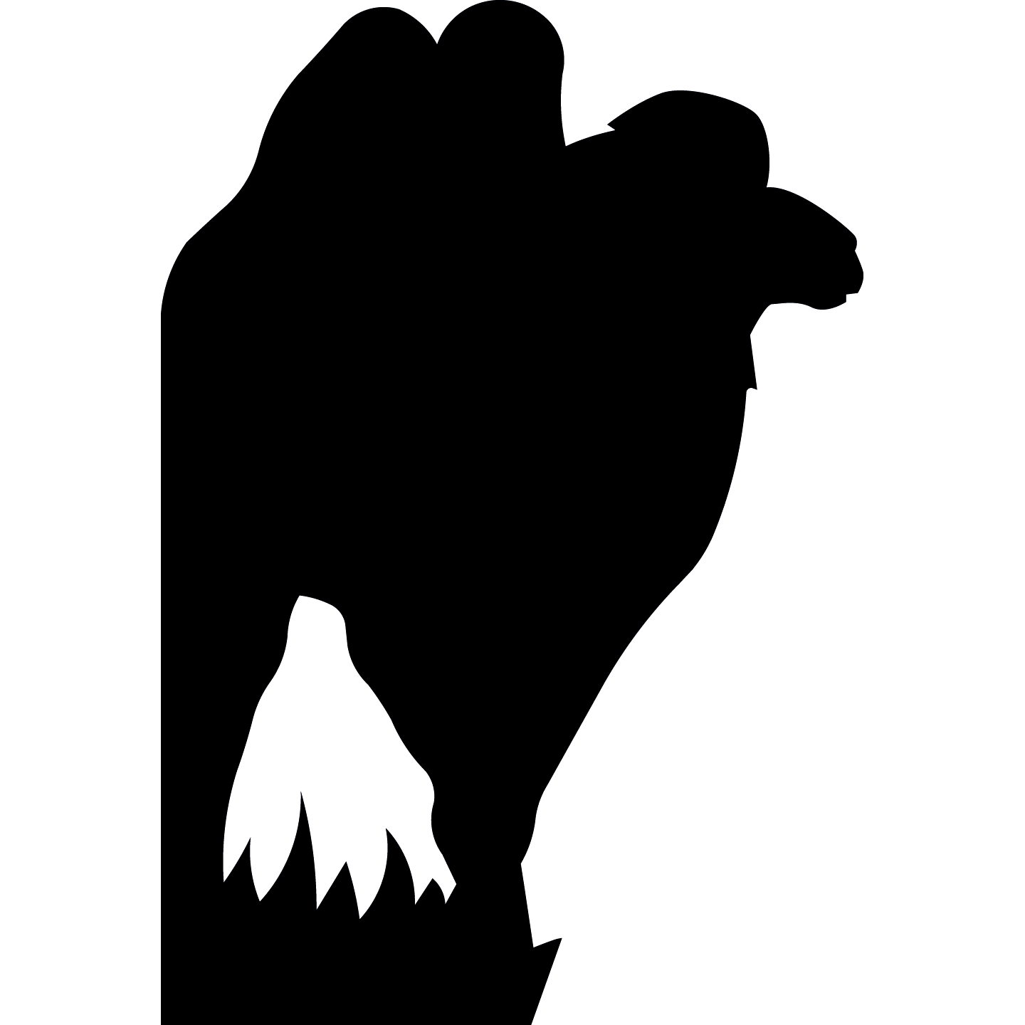 Lifesize Bactrian 2 Hump Camel Silhouette Cardboard Cutout