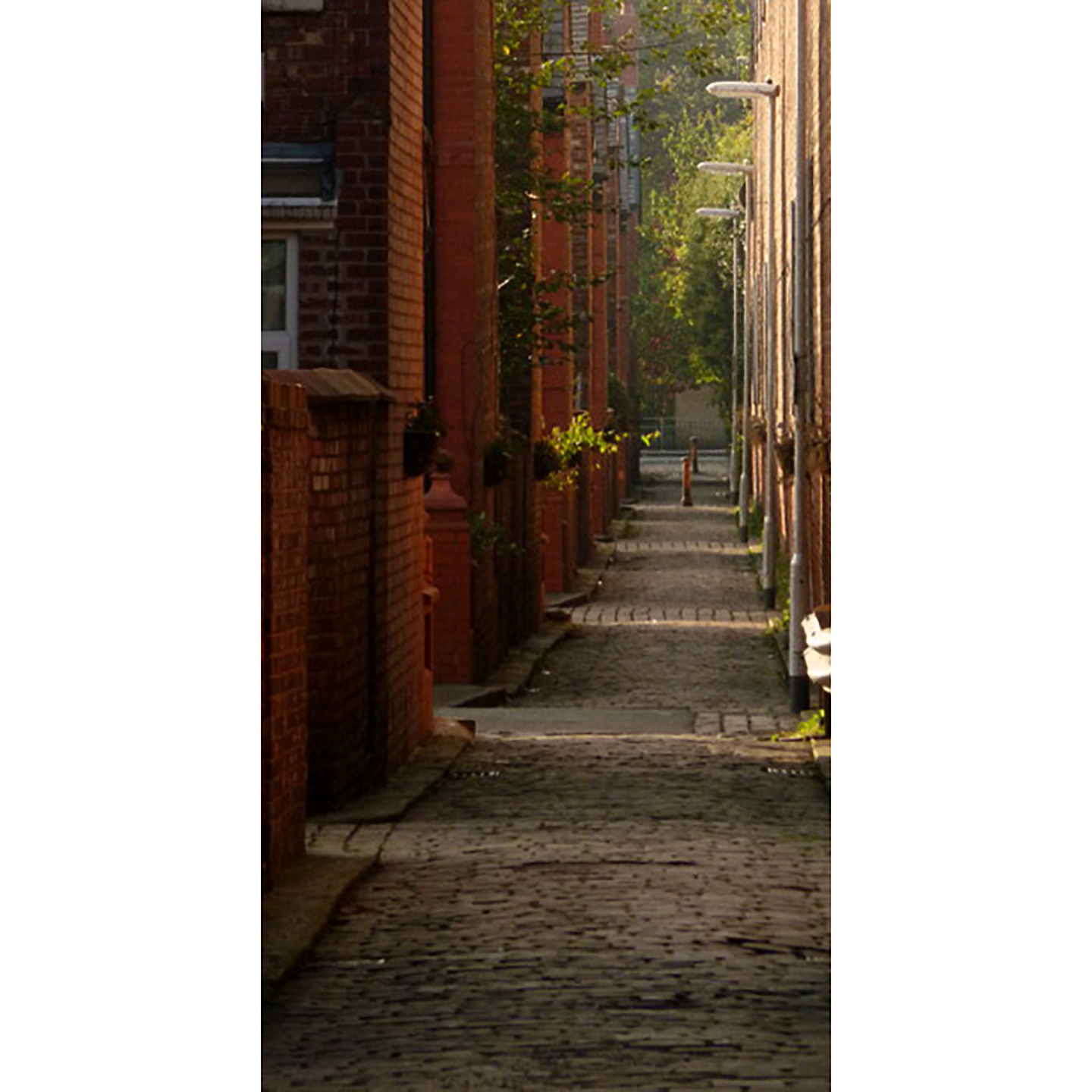Brick Building Back Alley Streets Manchester England Culture Travel Backdrop Cardboard Cutout