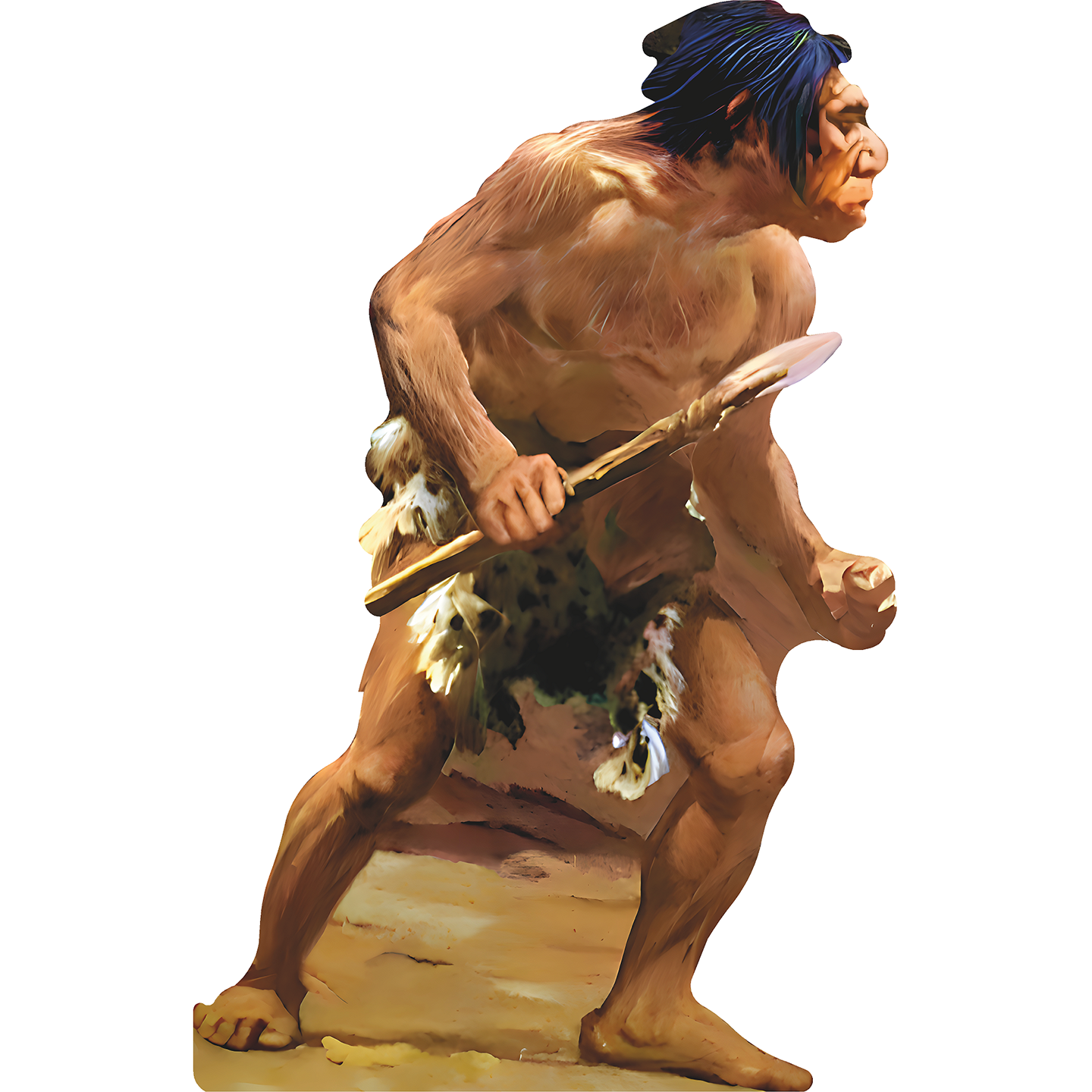 Neanderthal Caveman With Spear Cardboard Cutout Free Shipping – Life ...