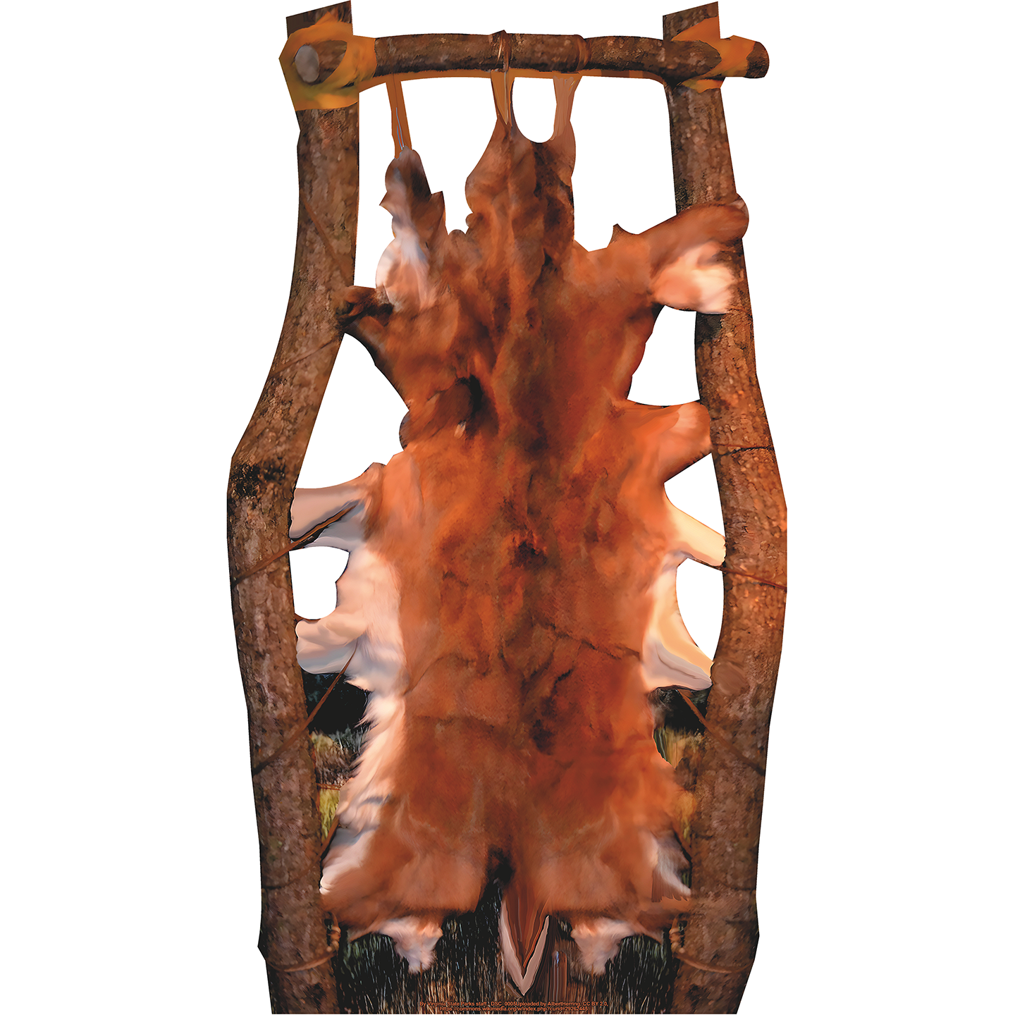 Deer Skin on Tanning Rack Cardboard Cutout